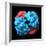 Haemoglobin Molecule, Artwork-Visual Science-Framed Premium Photographic Print