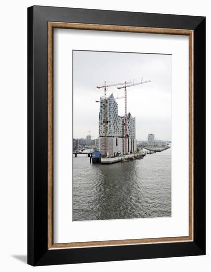 Hafencity-West, Elbphilharmonie, Construction Site, Aerial Shot, Hanseatic City of Hamburg, Germany-Axel Schmies-Framed Photographic Print