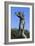 Hagendenkmal-null-Framed Photographic Print