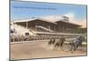 Hagerstown Race Track, Hagerstown, Maryland-null-Mounted Art Print
