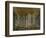 Hagia Sophia, Plate 6: the North Nave-Gaspard Fossati-Framed Giclee Print