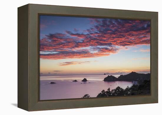 Hahei Beach at Sunrise, Coromandel Peninsula, North Island, New Zealand-Ian Trower-Framed Premier Image Canvas