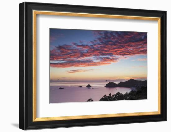 Hahei Beach at Sunrise, Coromandel Peninsula, North Island, New Zealand-Ian Trower-Framed Photographic Print