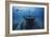 Hai Siang Wreck-Barathieu Gabriel-Framed Photographic Print