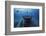 Hai Siang Wreck-Barathieu Gabriel-Framed Photographic Print