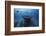 Hai Siang Wreck-Barathieu Gabriel-Framed Photographic Print