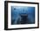 Hai Siang Wreck-Barathieu Gabriel-Framed Photographic Print