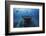 Hai Siang Wreck-Barathieu Gabriel-Framed Photographic Print