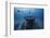 Hai Siang Wreck-Barathieu Gabriel-Framed Photographic Print