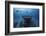 Hai Siang Wreck-Barathieu Gabriel-Framed Photographic Print