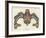 Haida Dog-Fish-null-Framed Giclee Print