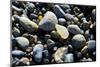 Haida Gwaii Islands, British Columbia. Agates are Found on Many of the Beaches on Graham Island-Richard Wright-Mounted Photographic Print