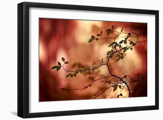 Haiku-Ursula Abresch-Framed Photographic Print