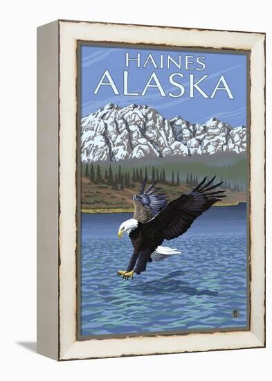 Haines, Alaska, Eagle Fishing-Lantern Press-Framed Stretched Canvas