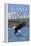 Haines, Alaska, Eagle Fishing-Lantern Press-Framed Stretched Canvas