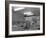 Hairdressers at Work, Armthorpe, Near Doncaster, South Yorkshire, 1961-Michael Walters-Framed Photographic Print