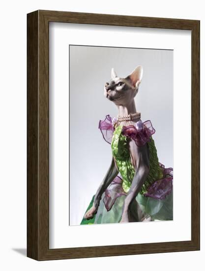 Hairless sphinx cat wearing pearls poses for a portrait-James White-Framed Photographic Print