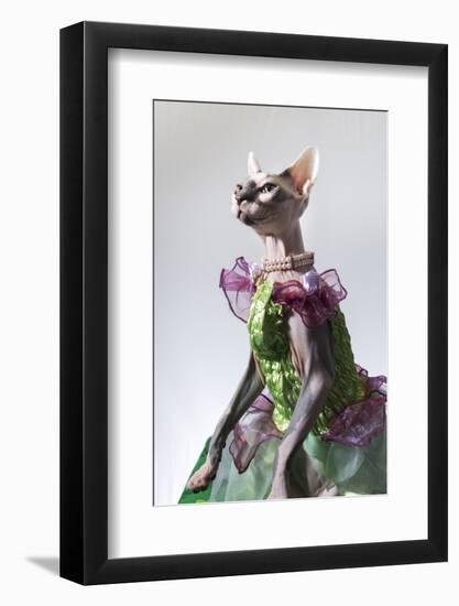 Hairless sphinx cat wearing pearls poses for a portrait-James White-Framed Photographic Print