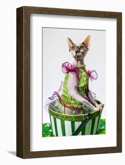 Hairless sphinx cat wearing pearls poses for a portrait-James White-Framed Photographic Print