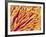 Hairs on the tip of the leg of a spider-Micro Discovery-Framed Photographic Print