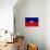 Haiti Flag Design with Wood Patterning - Flags of the World Series-Philippe Hugonnard-Premium Giclee Print displayed on a wall
