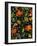 Haitian Garden Textile-Kim Parker-Framed Giclee Print