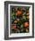 Haitian Garden Textile-Kim Parker-Framed Giclee Print