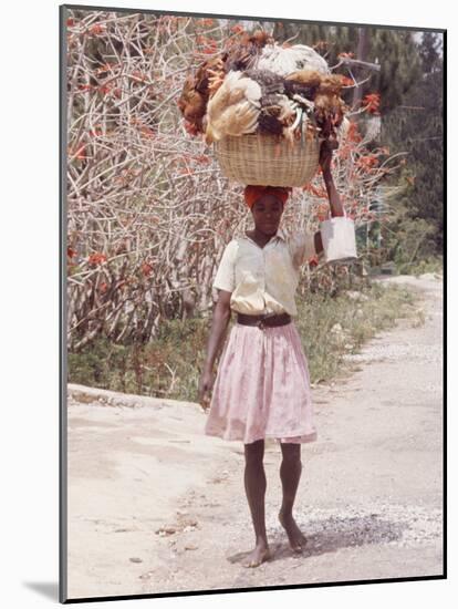 Haitian Woman Carrying Large Basket with Her Market Shopping on Her Head-Lynn Pelham-Mounted Photographic Print