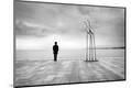 Premium Photographic Print