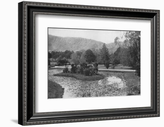 'Hakgalla Gardens from the Lotus Pond, Nuwara Eliya', c1890, (1910)-Alfred William Amandus Plate-Framed Photographic Print