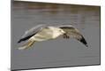 Premium Photographic Print