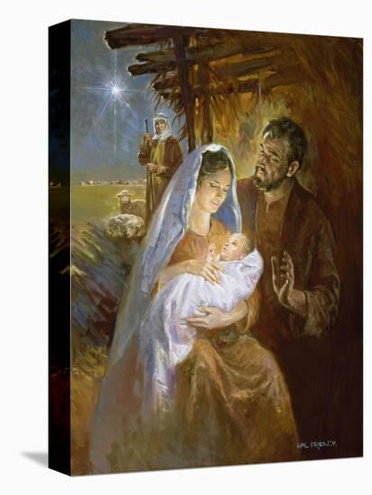 Stretched Canvas Print, , large