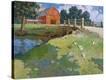 Stretched Canvas Print