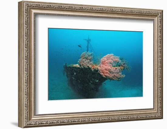 Halaveli Wreck and a Scuba Diver, Maldives.-Reinhard Dirscherl-Framed Photographic Print