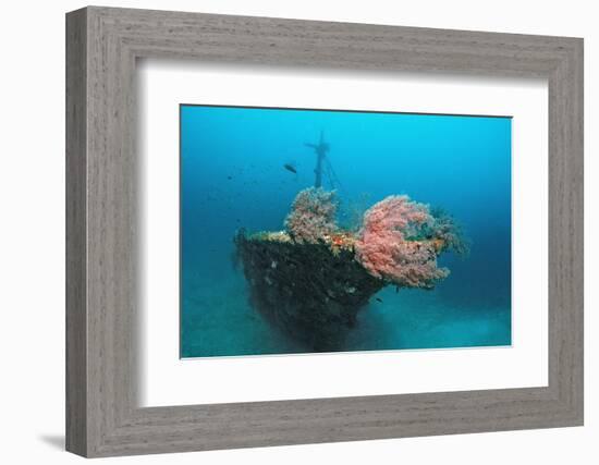 Halaveli Wreck and a Scuba Diver, Maldives.-Reinhard Dirscherl-Framed Photographic Print