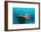 Halaveli Wreck and a Scuba Diver, Maldives.-Reinhard Dirscherl-Framed Photographic Print