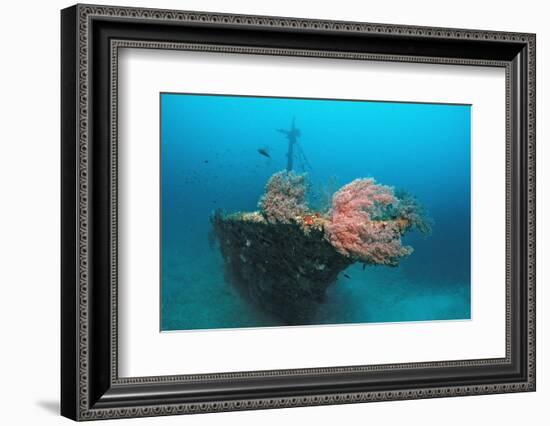 Halaveli Wreck and a Scuba Diver, Maldives.-Reinhard Dirscherl-Framed Photographic Print