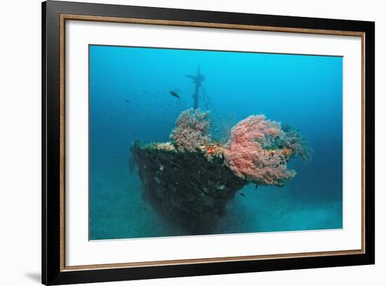 Halaveli Wreck and a Scuba Diver, Maldives.-Reinhard Dirscherl-Framed Photographic Print