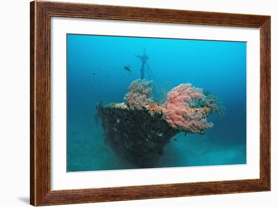 Halaveli Wreck and a Scuba Diver, Maldives.-Reinhard Dirscherl-Framed Photographic Print