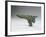 Halberd Axe Blade, Warring States Period-null-Framed Giclee Print