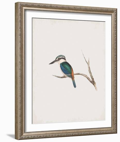 Halcyon Pyrrhopygia-John Gould-Framed Giclee Print