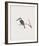 Halcyon Pyrrhopygia-John Gould-Framed Giclee Print