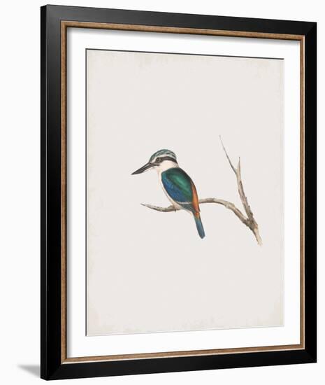 Halcyon Pyrrhopygia-John Gould-Framed Giclee Print