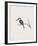 Halcyon Pyrrhopygia-John Gould-Framed Giclee Print
