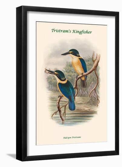 Halcyon Tristrami - Tristram's Kingfisher-John Gould-Framed Art Print