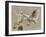 Halcyon-Barbara Keith-Framed Giclee Print