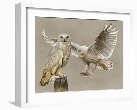 Halcyon-Barbara Keith-Framed Giclee Print