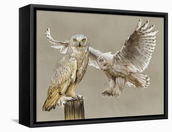 Halcyon-Barbara Keith-Framed Premier Image Canvas