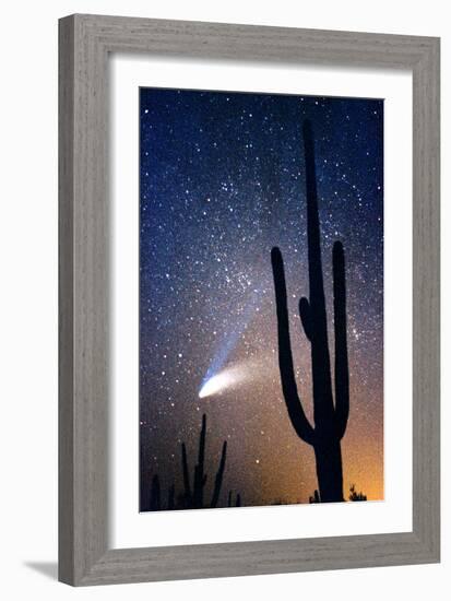 Hale Bop Comet-Douglas Taylor-Framed Photographic Print