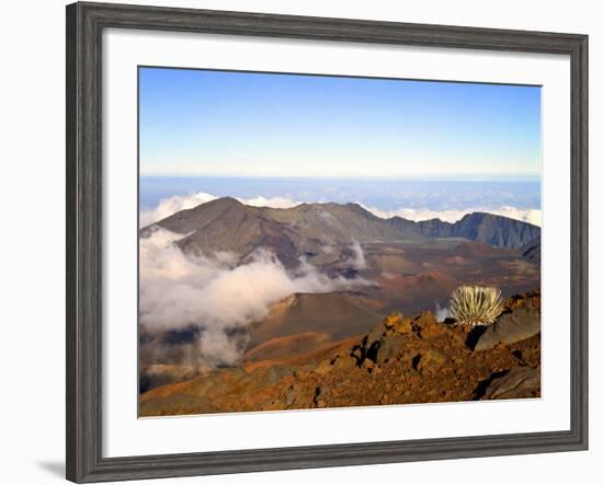 Haleakala Crater From Crater Rim and Silversword in Foreground Haleakala National Park, Maui, HI-Bernard Friel-Framed Photographic Print